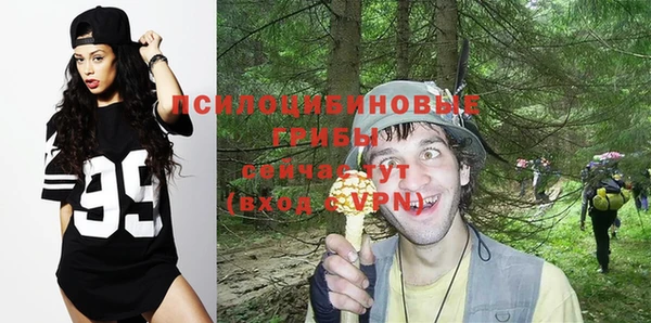 молекула духа Вязники