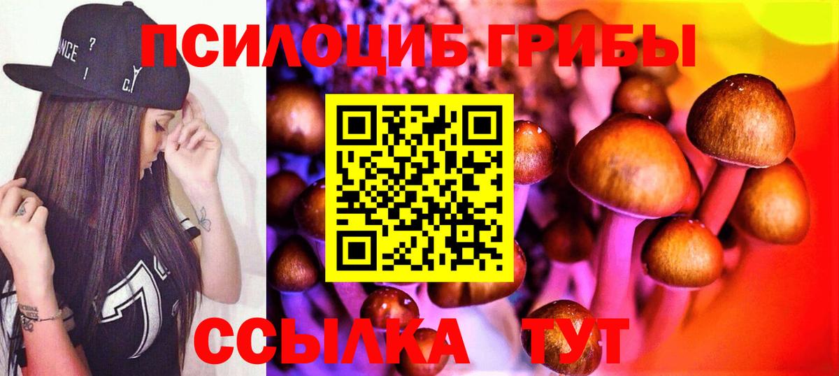 Псилоцибиновые грибы мухоморы  Дедовск 