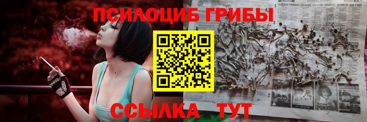 Псилоцибиновые грибы GOLDEN TEACHER Дедовск